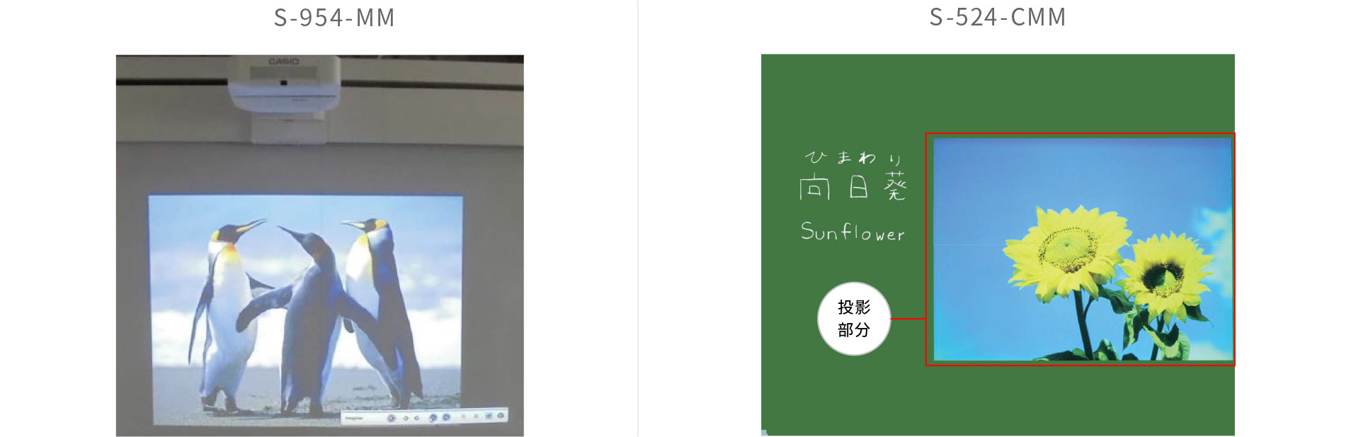 映写・書き消し兼用